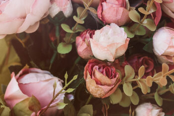 Ideologien verstehen – Klar denken in einer polarisierten Welt